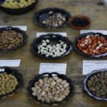 Reclaim the Seeds - 4 en 5 maart - Nijmegen