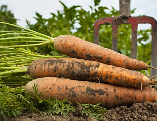 Foto: DepositPhotos